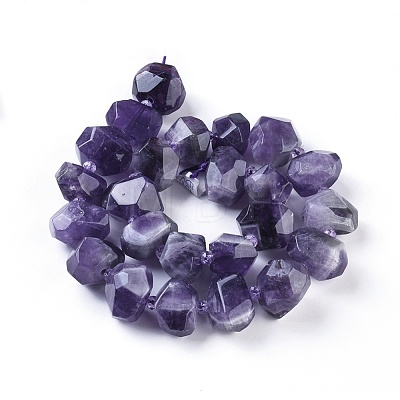 Natural Amethyst Beads Strands G-F653-10-1