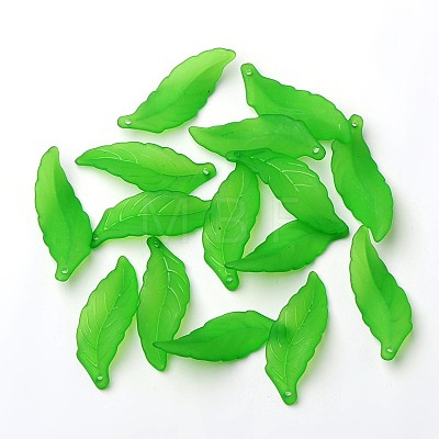 Transparent Acrylic Pendants FACR-R003-1-1