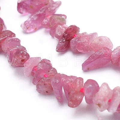 Natural Tourmaline Beads Strands X-G-L550B-01-1