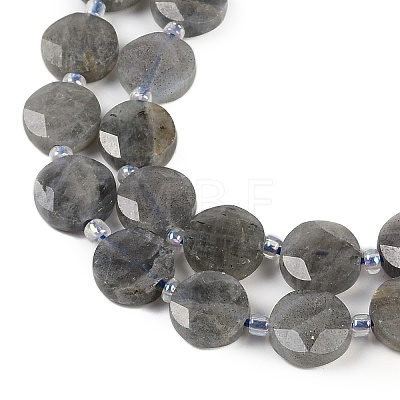 Natural Labradorite Beads Strands G-C116-A46-01-1