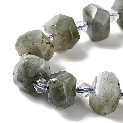 Natural Labradorite Beads Strands G-E578-03-1