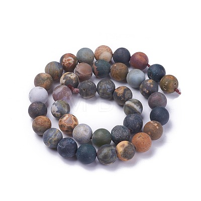 Natural Ocean Agate/Ocean Jasper Beads Strands G-G772-06-B-1