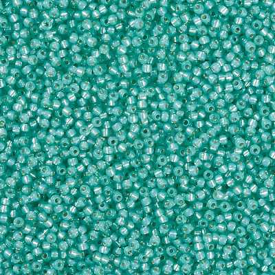 MIYUKI Round Rocailles Beads X-SEED-G008-RR0571-1