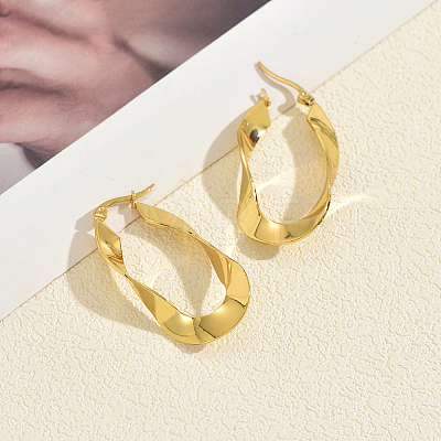 Twisted Oval Stainless Steel Hoop Earrings NI5341-1