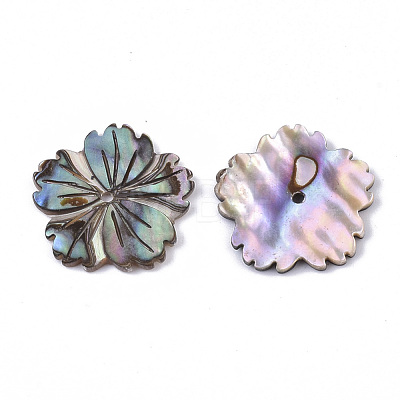Natural Paua Shell/Abalone Shell Beads X-SSHEL-R046-02-1