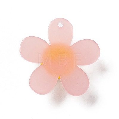 Frosted Translucent Acrylic Pendants OACR-P012-C03-1
