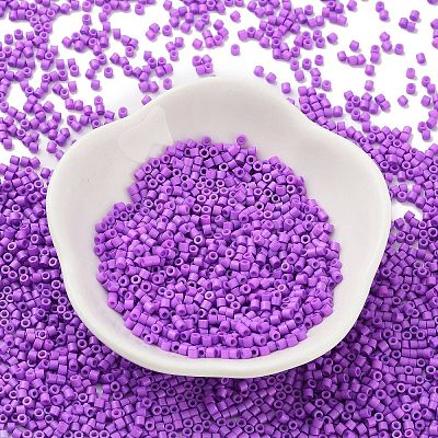 Baking Paint Glass Seed Beads X-SEED-S042-05B-72-1