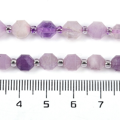 Natural Lepidolite Beads Strands G-O201B-108E-1