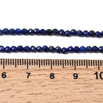 Natural Lapis Lazuli Beads Strands G-F596-49-1