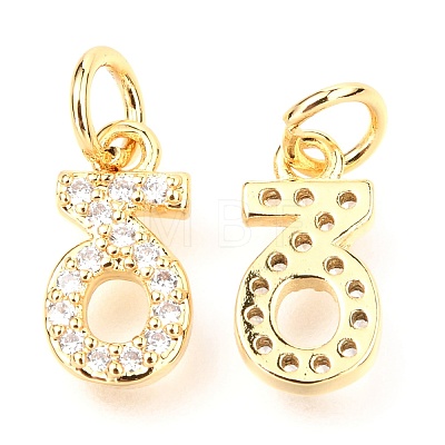 Brass Micro Pave Cubic Zirconia Charms ZIRC-O037-21G-1