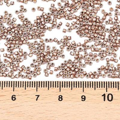 MIYUKI Delica Beads X-SEED-J020-DB2504-1