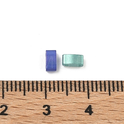 Glass 2-Hole Baking Paint Glass Seed Beads GLAA-G130-01E-1