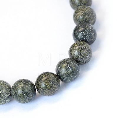 Natural Serpentine/Green Lace Stone Round Bead Strands G-E334-8mm-14-1
