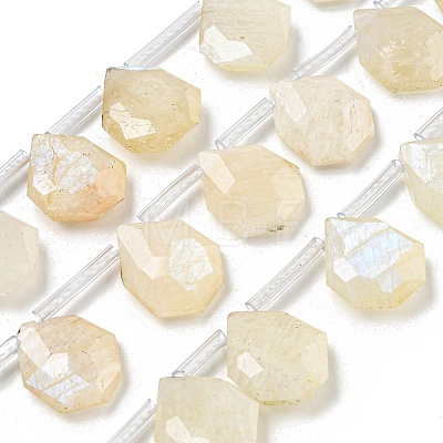 Natural Rainbow Moonstone Beads Strands G-P544-C04-01-1