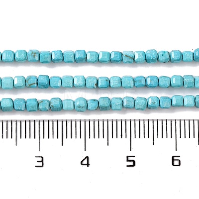 Natural Howlite Beads Strands G-G001-A02-04-1