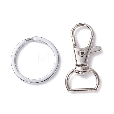 Alloy and Iron Keychain Clasps PALLOY-XCP0001-70-1