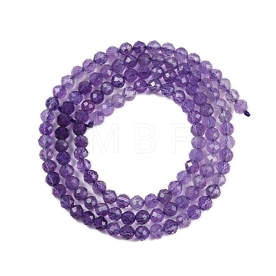 Natural Amethyst Beads Strands G-B037-02A-01-1