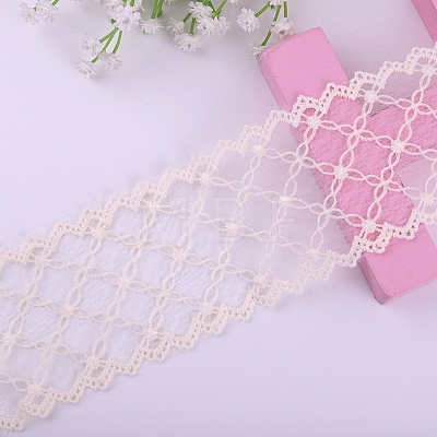 Polyester Lace Trim Ribbons PW-WG34220-03-1-1