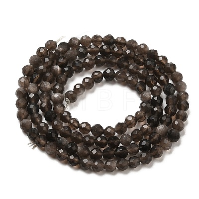 Natural Silver Sheen Obsidian Beads Strands G-E608-A02-B-1