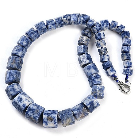 Natural Blue Spot Jasper Hexagon Prism Graduated Beaded Necklaces for Women Men NJEW-K388-03C-1