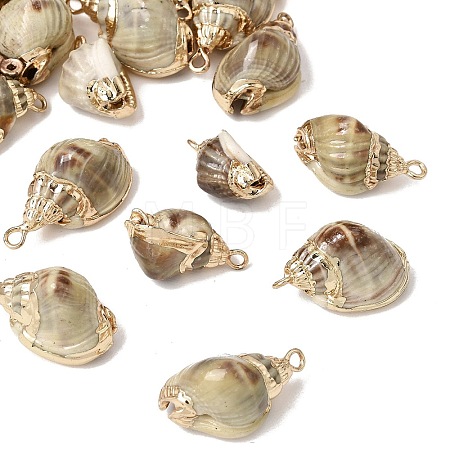 Brass & Natural Shell Pendants SH-CBA27C9-07-1