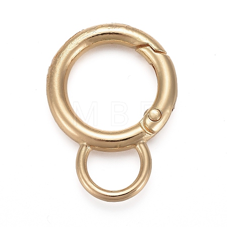 Alloy Key Clasps X-KEYC-H109-03C-G-1