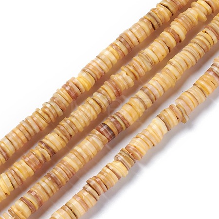 Natural Freshwater Shell Beads Strands X-BSHE-I016-04B-1