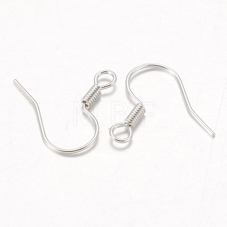Iron Earring Hooks X-E133-NF-1