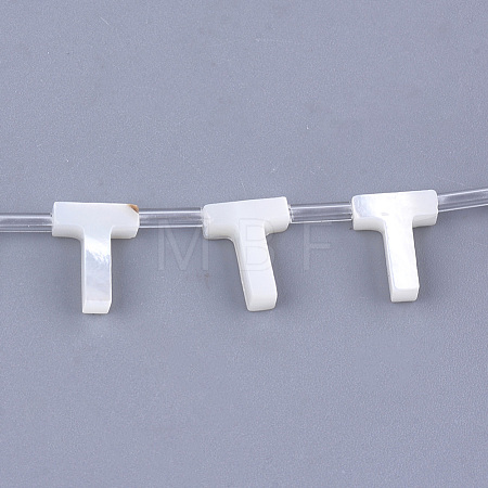 Natural Sea Shell Beads SHEL-T012-60T-1