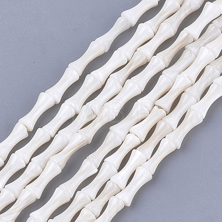 Freshwater Shell Beads Strands SHEL-T012-48-1