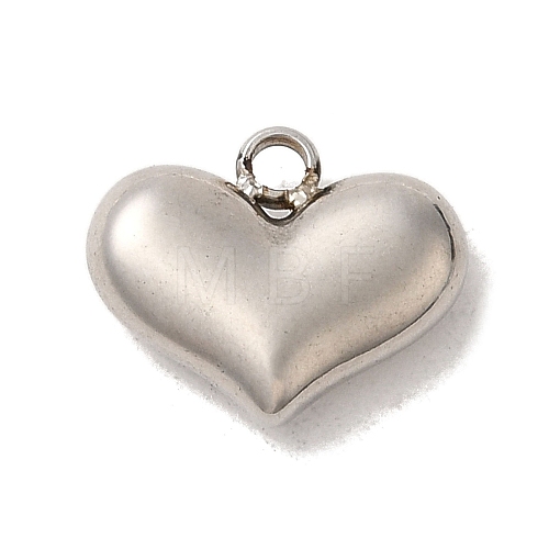 304 Stainless Steel Charms STAS-S131-12P-1