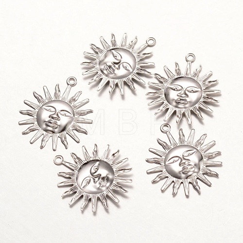 316 Surgical Stainless Steel Pendants X-STAS-K096-19P-1