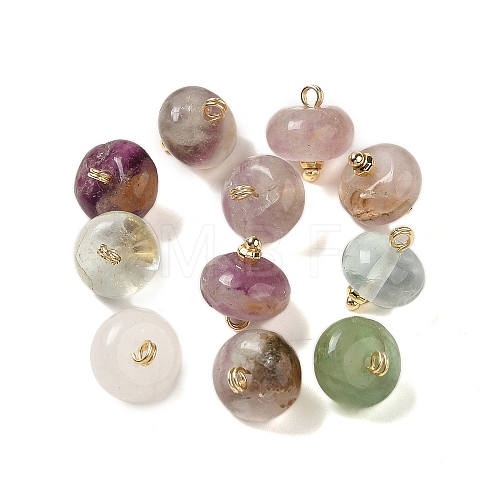 Natural Fluorite Rondelle Charms with Rack Plating Brass Loops G-G110-05A-01-1