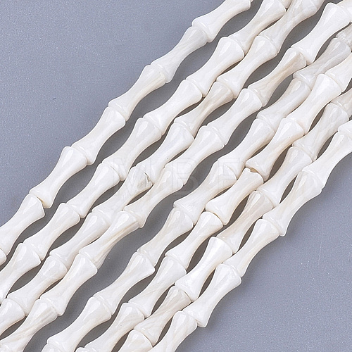 Freshwater Shell Beads Strands SHEL-T012-48-1