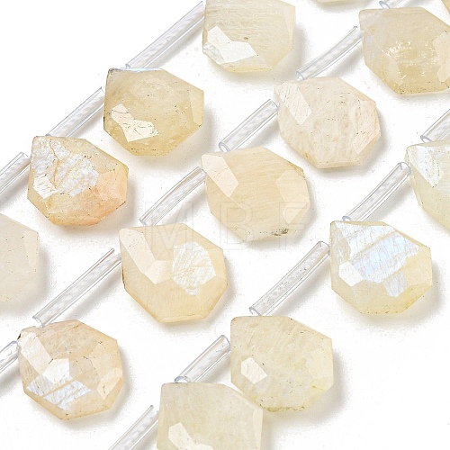 Natural Rainbow Moonstone Beads Strands G-P544-C04-01-1