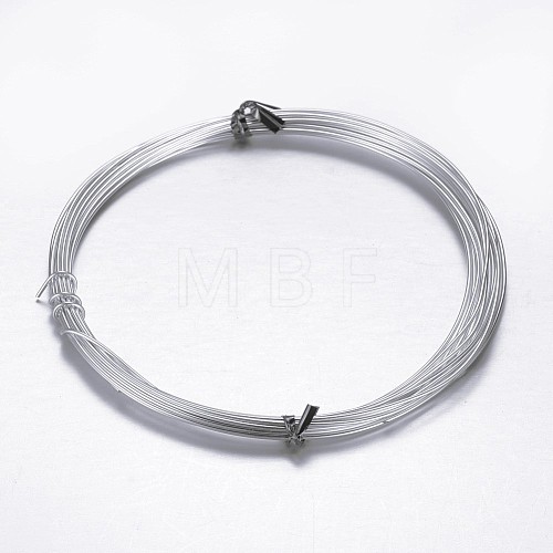 Round Aluminum Craft Wire AW-D009-2mm-5m-21-1