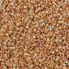 MIYUKI Round Rocailles Beads X-SEED-G009-RR0580-2