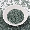 MIYUKI Delica Beads SEED-J020-DB2379-2