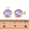 Golden Tone Brass Glass Charms GLAA-ZX008-24I-G-3