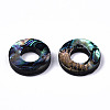 Natural Abalone Shell/Paua Shell Beads SSHEL-T014-10-2