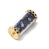 Glass Tube with Natural Lapis Lazuli Chip Beads Inside Pendants FIND-B054-01G-01-2