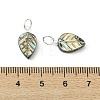 Natural Paua Shell/Abalone Shell Carved Pendants PALLOY-JF05615-02-3