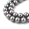 Shell Pearl Bead Strands BSHE-L025-07-8mm-2