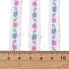 Polyester Lace Ribbon FB-CBA2A5D-01A-3