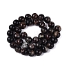 Natural Biotite Beads Strands G-Q616-01D-3