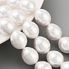 Electroplated Shell Pearl Beads Strands BSHE-H110-01-03-2