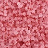 Frosted Glass Seed Beads SEED-N012-01J-3
