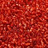 Glass Seed Beads SEED-S042-04B-10-3