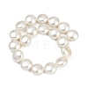 Electroplated Shell Pearl Beads Strands BSHE-G027-13E-3