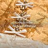 Preciosa® MAXIMA Crystal Round Stones X-PRC-RBSS39-90350-3